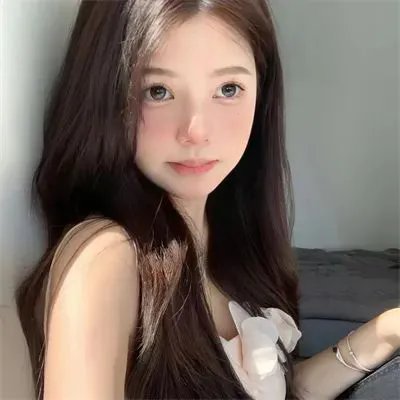 双鼠记
